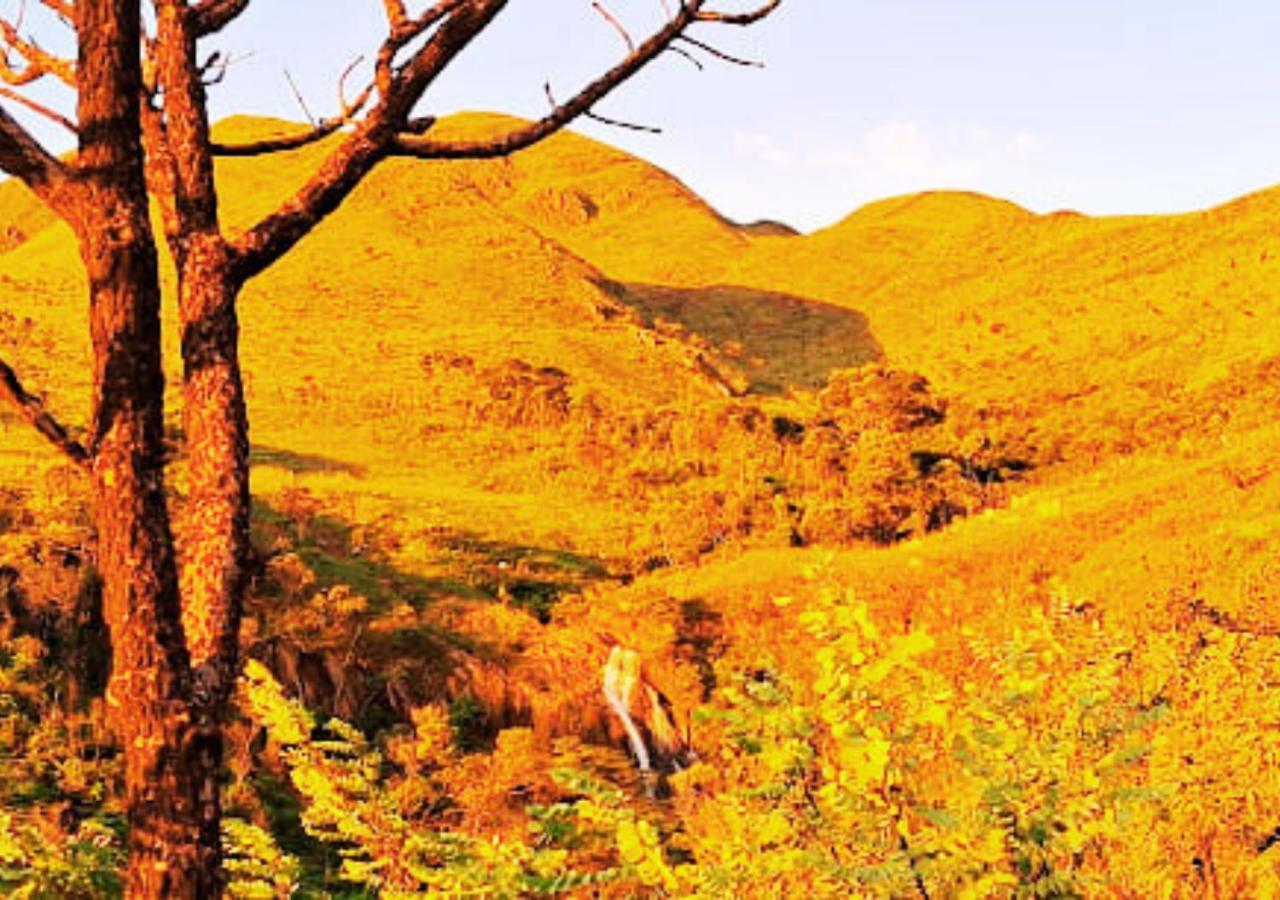 Rural Vargem Do Cedro - - Mg * Belo Vale