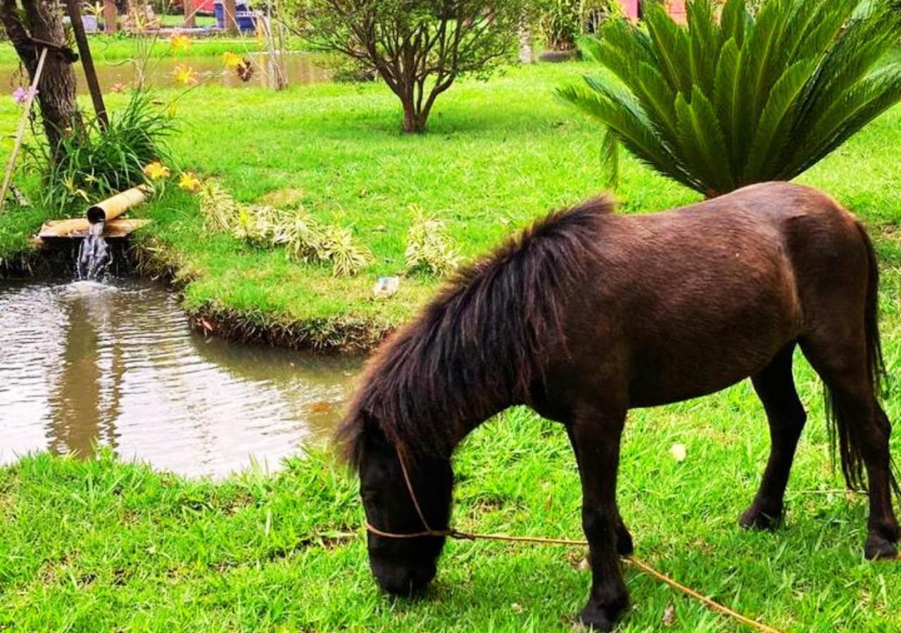 Rural Vargem Do Cedro - - Mg Lodge
