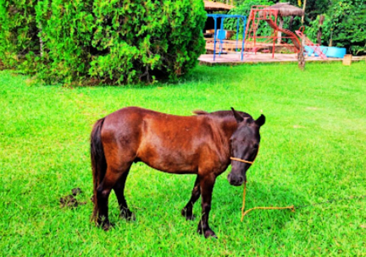 Lodge Rural Vargem Do Cedro - - Mg