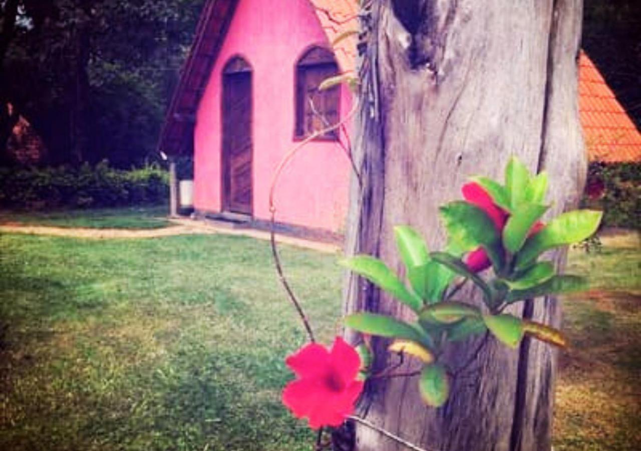 Rural Vargem Do Cedro - - Mg Lodge